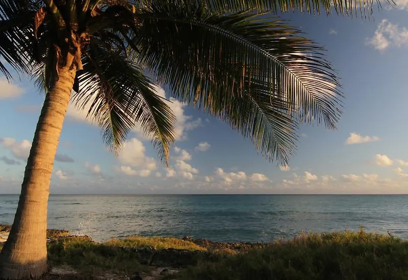 Apartment Moonraker Beach Hotel Christ Church Barbados